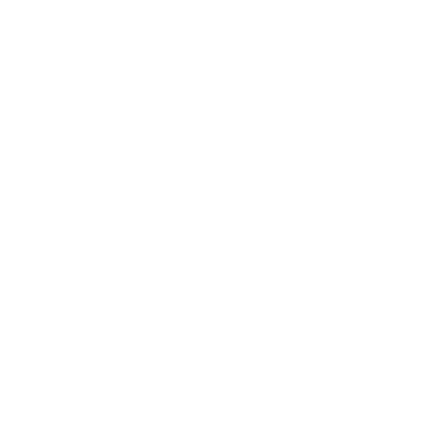 Professional Icon